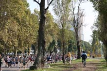 ucema2010_194