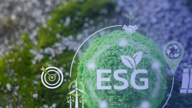 ESG Strategy Bootcamp 