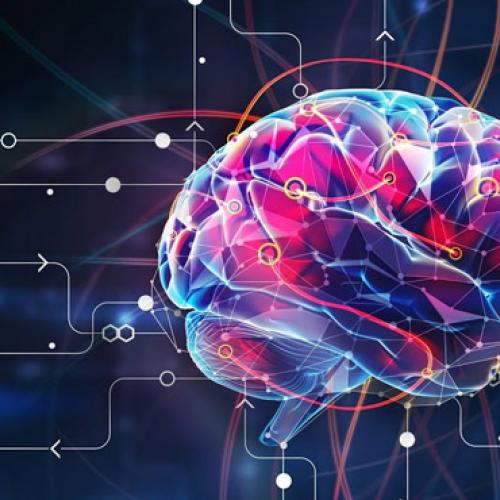 Neuroliderazgo para líderes y coaches