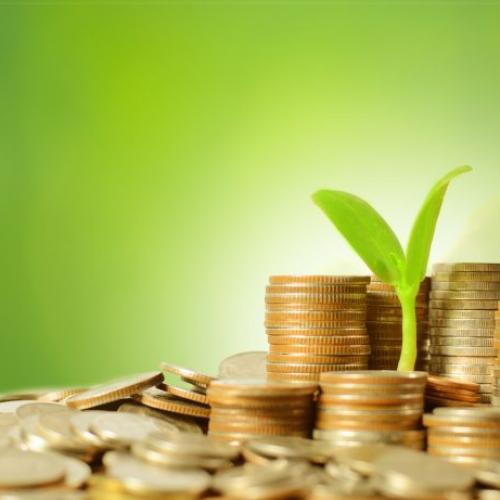 Bonos Verdes y Finanzas Sostenibles