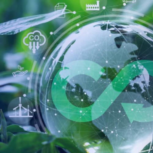 Transformación circular de los negocios y su cadena de valor