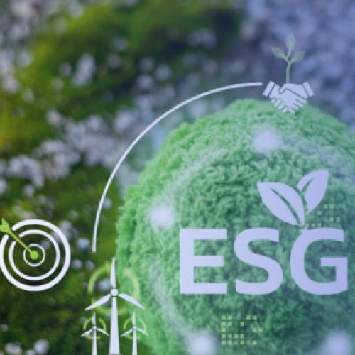 ESG Strategy Bootcamp