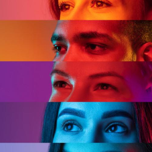 Gestión Estratégica en Diversidad e Inclusión & Pertenencia