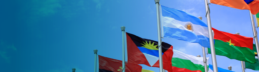 UCEMA International Week