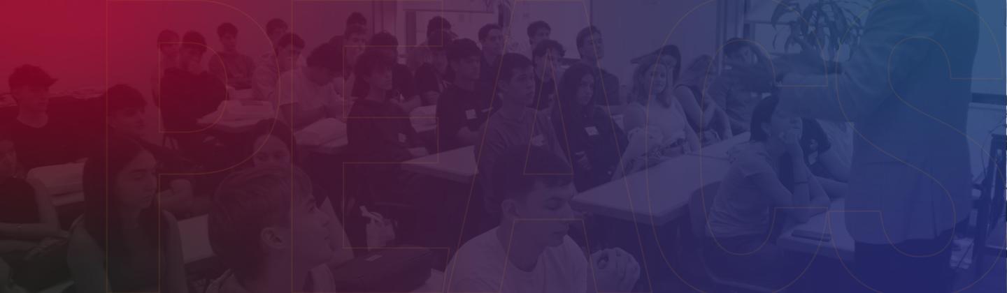 Programa de Extensión Académica en Ciencias Sociales